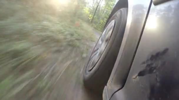 El coche atraviesa el bosque. Carretera forestal en el parque nacional — Vídeo de stock