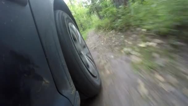 O carro atravessa a floresta. Estrada florestal no parque nacional — Vídeo de Stock