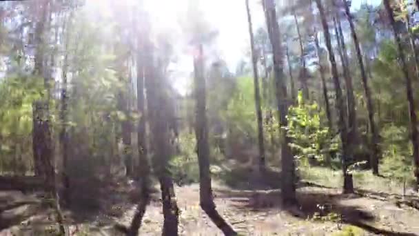 Lovaglás keresztül az erdőben, a napos kis szög lövés — Stock videók