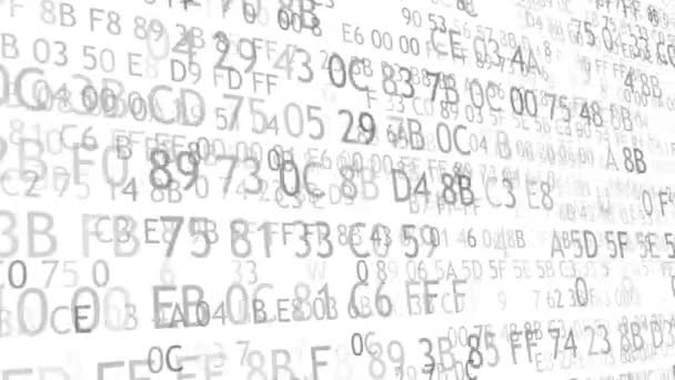 Código hexadecimal que ejecuta encima de una pantalla de la computadora en el fondo blanco. Dígitos negros . — Vídeo de stock