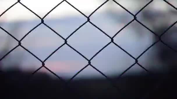 Metal fence (pound). Metal fence twitches. Video effects — Stock Video