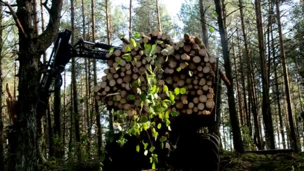 Insamling laddar timmer på loggning lastbil. Skördaren arbetar i en skog. — Stockvideo