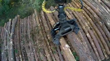 ahşap günlük kamyon yükleme toplama. Bir ormanda çalışan hasat.