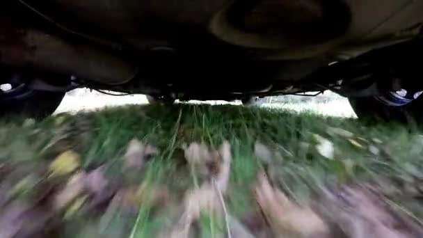 The camera from below the car. Work vehicle suspension. Driving on off road terrain in forest. — Stock Video