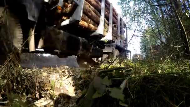 Verzamelen hout op logboekregistratie vrachtwagen laden. De rooier werken in een forest. Vervoer van hout in plaats is moeilijk begaanbaar. Grote wielen close-up — Stockvideo