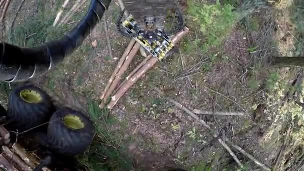 Collecte de bois de chargement sur camion d'exploitation forestière. La moissonneuse travaillant dans une forêt . — Video