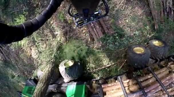 Betöltése a teherautó a naplózás faanyag összegyűjtése. Erdőben működő Aratógép. — Stock videók