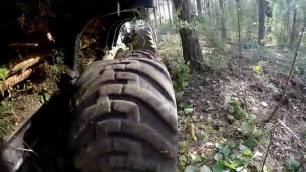 Recogida de madera de carga en camión de explotación forestal. La cosechadora trabajando en un bosque. El transporte de madera en su lugar es difícil de transitar. Primeros planos de ruedas grandes — Vídeo de stock