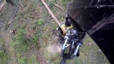 Orman hasat eylem - Ağaç kesme. Hasat ormanın içinde taşır. Özel bir birine Buncher bir taze doğranmış ağaç gövdesi testereleri.