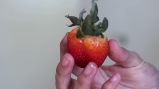 Άνθρωπος Που Ελέγχει Μια Φρέσκια Φράουλα — Αρχείο Βίντεο