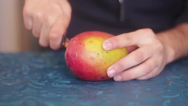 Forma Equivocada Cortar Fruta Del Mango — Vídeos de Stock