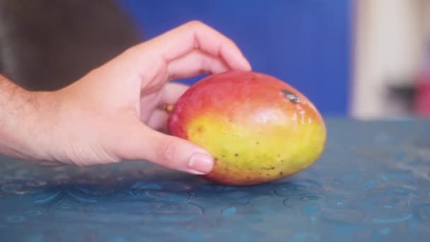 Man Hands Showing Fresh Mango — Stock Video
