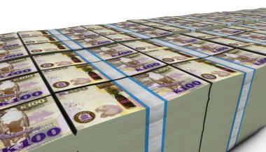 Zambiya 'nın 3B çizimi. 100 Kwacha faturası arkaplanı istifliyor