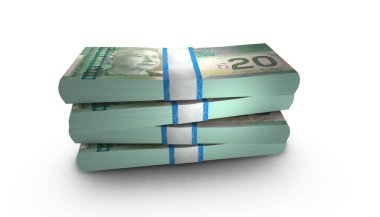 Kanada 'nın 3 boyutlu resmi 20 dolarlık banknotlar arka planda