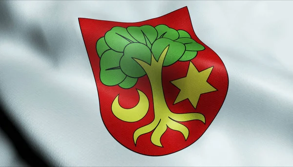 Ilustração Uma Bandeira Ondulada Região Suíça Erlach — Fotografia de Stock