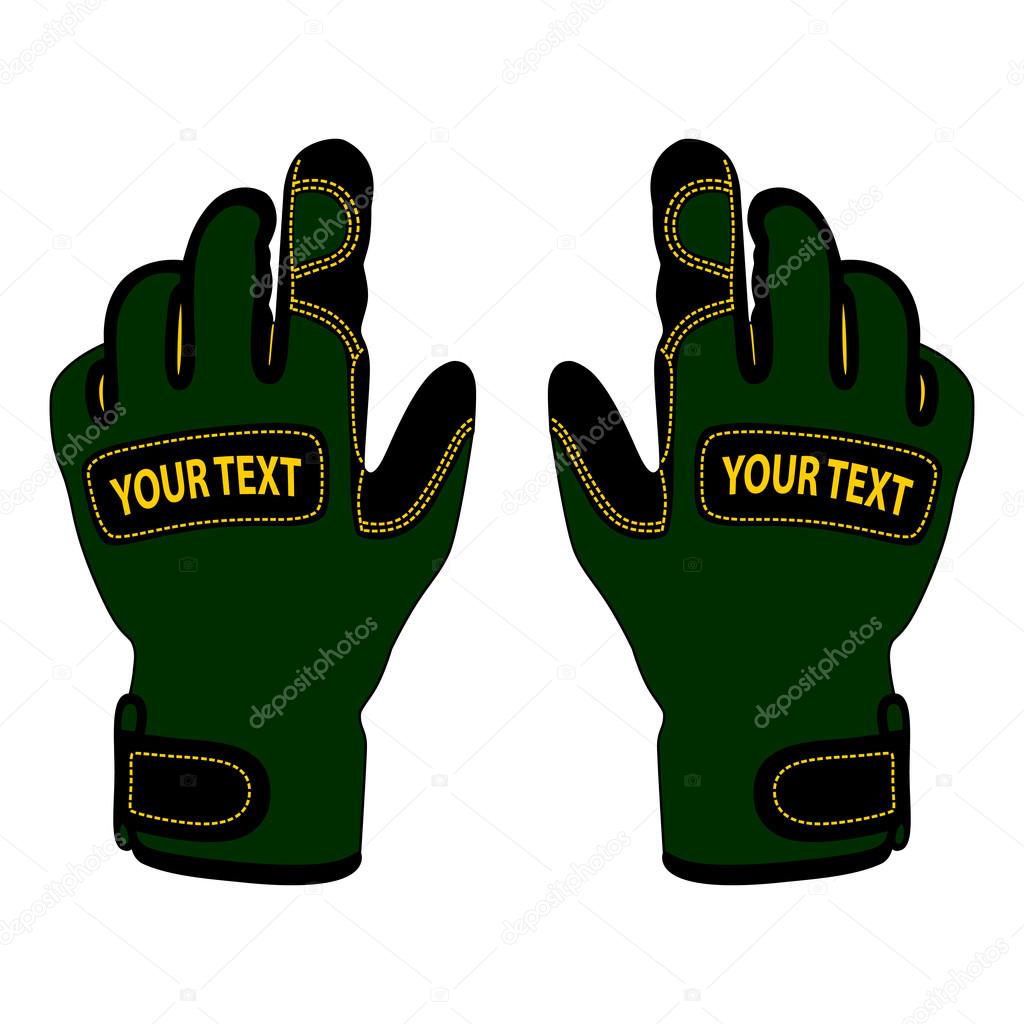Beautiful sports gloves in the vector