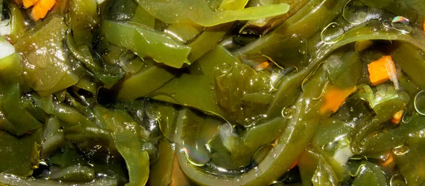 Sea kale.Sea Kale vitamin salad.Background seaweed is the top view.