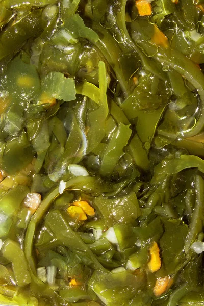 Sea kale.Sea Kale vitamin salad.Background seaweed is the top view.