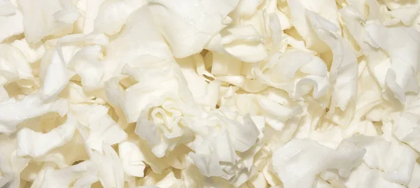 Fresh Shredded White Cabbage Background Fresh Chopped White Cabbage Top — Stock Photo, Image