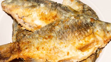 Kızarmış balık sazan balığı. Kızarmış sazan..