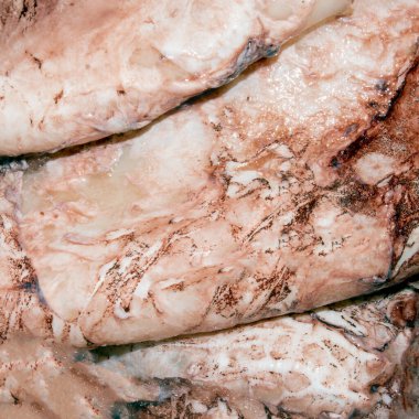 Kalamar leşi, yukarıdan manzara. Soyulmamış mürekkep balığı..