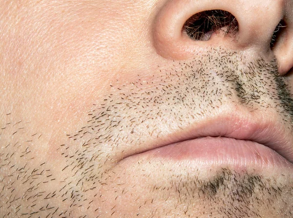 Palha Por Barbear Rosto Homem Parte Rosto Masculino Não Barbeado — Fotografia de Stock