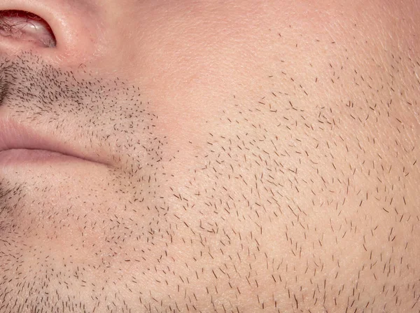 남자의 얼굴에 Unshaven Stubble 면도하지 얼굴의 Bristles — 스톡 사진