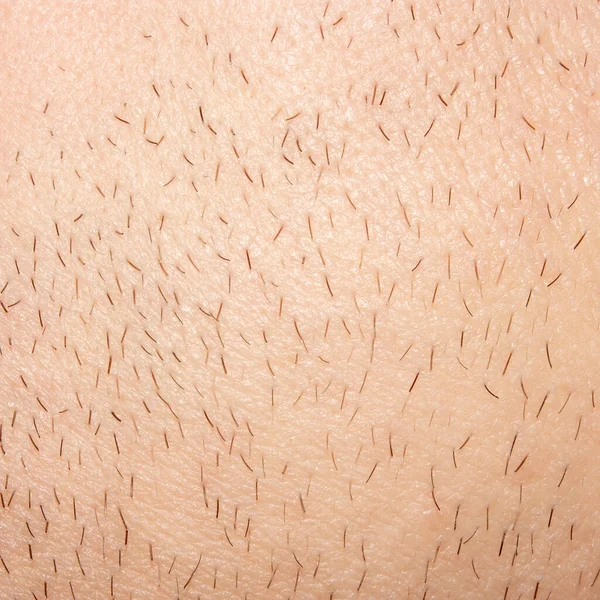 남자의 얼굴에 Unshaven Stubble 면도하지 얼굴의 Bristles — 스톡 사진