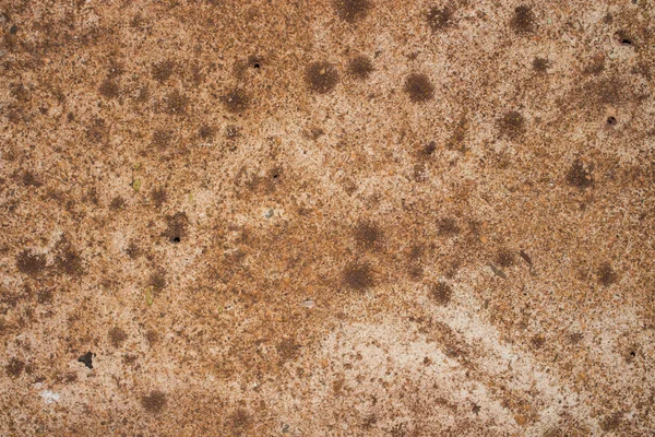 Kahverengi beton yüzey — Stok fotoğraf