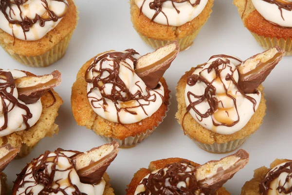 Chocolate Shortbread Cupcakes — Stock Photo, Image