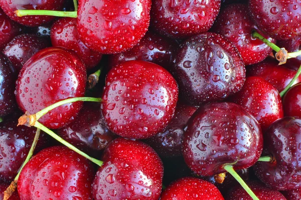 Cerejas doces com gotas de água macro — Fotografia de Stock