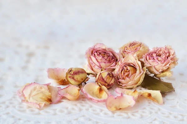 Ξηρό ροζ τριαντάφυλλα πάνω από λευκή δαντέλα — Φωτογραφία Αρχείου