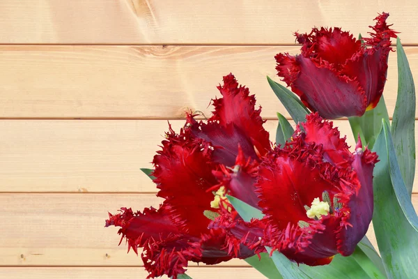 Rode tulpen op houten achtergrond — Stockfoto