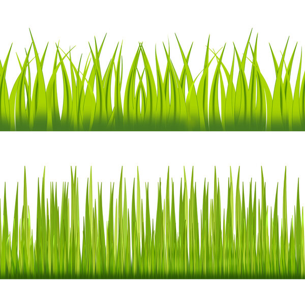 Green grass borders on white