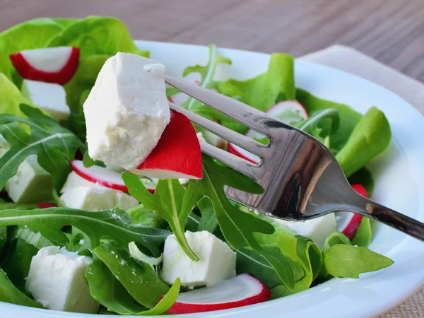 Leaf vegetable salad with feta cheese closeup — Stock Photo, Image