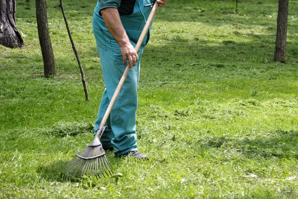 新鮮な草を刈るを掃きの人 — ストック写真