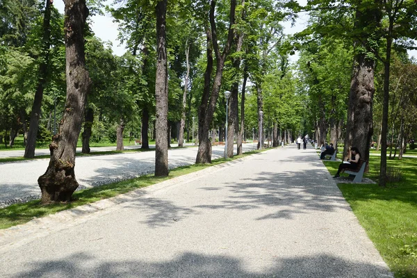 Rekreasyon Şehir Parkı içinde — Stok fotoğraf