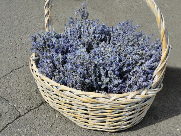 Flores de lavanda secas em uma cesta de vime — Fotografia de Stock