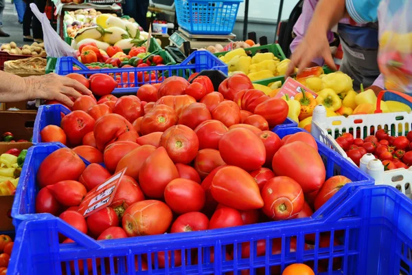 Hortalizas frescas en el mercado agrícola —  Fotos de Stock