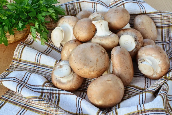 Brown cap cremini mushrooms — Stock Photo, Image