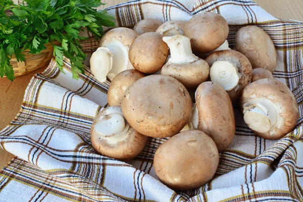 Braune Mütze cremini Pilze — Stockfoto