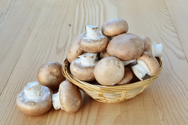 Cremini mushrooms brown cap — Stock Photo, Image