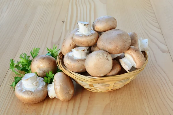 Cremini mushrooms brown cap — Stock Photo, Image