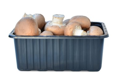 Plastik kutu izole kahverengi kap cremini mantar