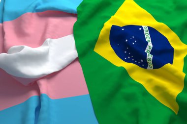 Brezilya Ülke Bayrak Desteğine Saygı LGBT LGBTQ Transseksüel 3d Hazırlama