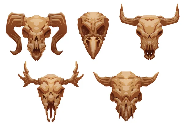 Ensemble de crânes d'animaux — Image vectorielle