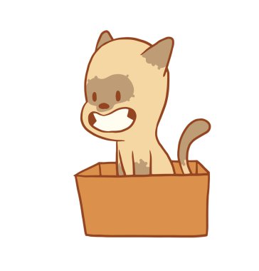 Turuncu kutuda oturan sevimli küçük kedi, renkli görüntü