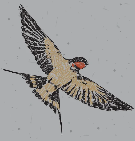 Zeichnung eines fliegenden Vogels — Stockvektor