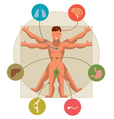 düz Vitruvius Adamı