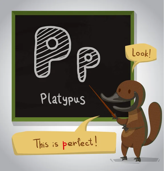 Γελοιογραφία αλφάβητο Platypus — Διανυσματικό Αρχείο